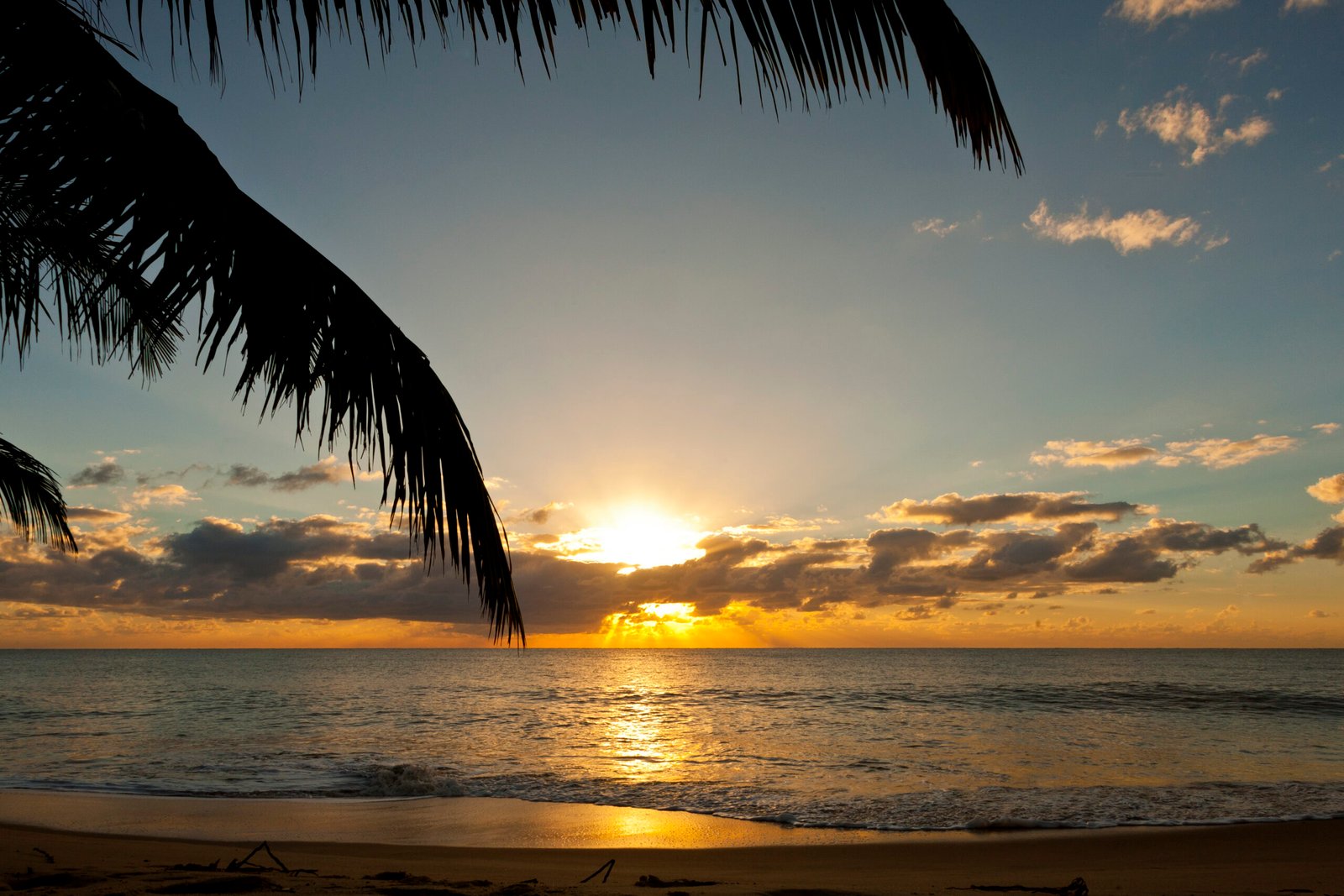 This image has an empty alt attribute; its file name is Early_morning_sunrise_at_Guaratiba-scaled.jpg